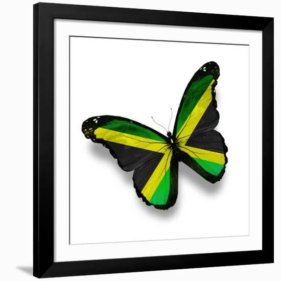 Jamaican Flag Butterfly, Isolated On White-suns_luck-Framed Art Print