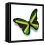 Jamaican Flag Butterfly, Isolated On White-suns_luck-Framed Stretched Canvas