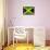 Jamaican Flag-daboost-Framed Stretched Canvas displayed on a wall