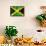Jamaican Flag-daboost-Framed Stretched Canvas displayed on a wall