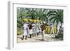 Jamaican Women Carrying Bananas to a Seaport, 1800s-null-Framed Giclee Print