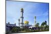 Jame'Asr Hassanal Bolkiah Mosque, Bandar Seri Begawan, Brunei, Borneo, Southeast Asia-Christian-Mounted Photographic Print