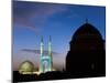 Jameh Mosque, Yazd, Iran-Michele Falzone-Mounted Photographic Print