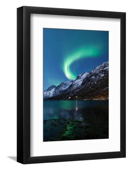Premium Photographic Print, , large