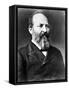 James A. Garfield, 20th U.S. President-Science Source-Framed Stretched Canvas