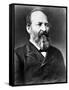 James A. Garfield, 20th U.S. President-Science Source-Framed Stretched Canvas