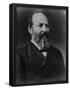 James A Garfield (Portrait) Art Poster Print-null-Framed Poster