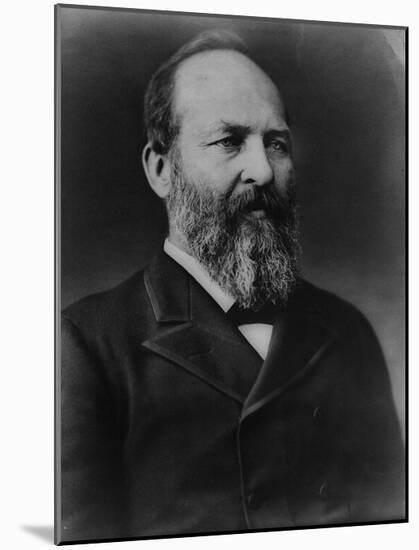 James A Garfield (Portrait) Art Poster Print-null-Mounted Poster