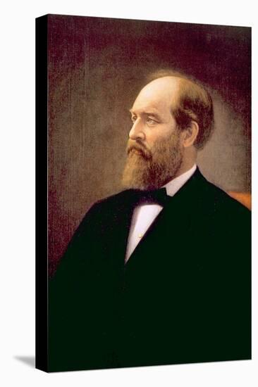 James A. Garfield, U.S. President 1881-null-Stretched Canvas