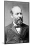 James A. Garfield, U.S. President 1881-null-Mounted Photo