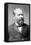 James A. Garfield, U.S. President 1881-null-Framed Stretched Canvas