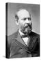 James A. Garfield, U.S. President 1881-null-Stretched Canvas