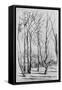 Canvas Black