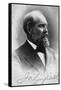 James Abraham Garfield-null-Framed Stretched Canvas