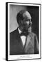 James Abram Garfield, 20th President of the United States, C1881-null-Framed Stretched Canvas