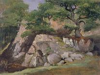 A View of the Valley of Rocks near Mittlach-James Arthur O'Connor-Mounted Giclee Print