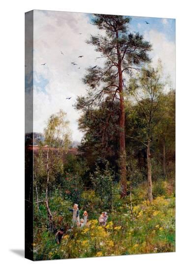 Stretched Canvas Print, , large