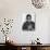 James Baldwin-Ted Thai-Premium Photographic Print displayed on a wall