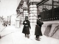 Guards Patrolling, Brussels, 1898-James Batkin-Photographic Print