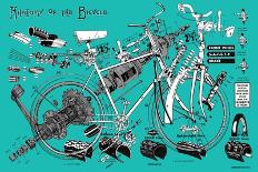 Anatomy of a Bicycle-James Bentley-Stretched Canvas