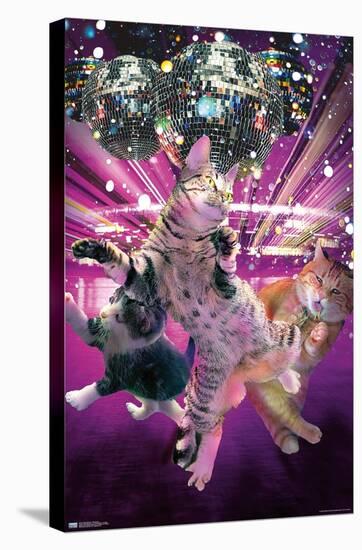 James Booker - Disco Cats-Trends International-Stretched Canvas