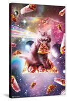 James Booker - Outer Space Pizza Cat-Trends International-Stretched Canvas