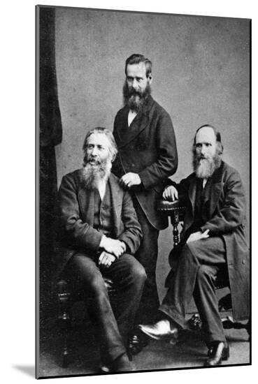Photographic Print, , large