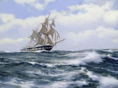Marco Polo'- "The Fastest Ship in the World", 2003