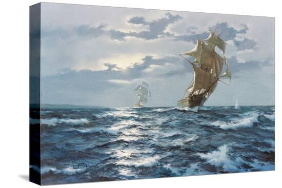 Stretched Canvas Print, , large