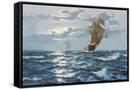 Canvas Black