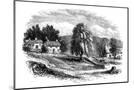 Wood Mount