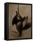 James Brown's Woodcock-James Gillick-Framed Stretched Canvas