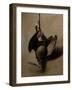 James Brown's Woodcock-James Gillick-Framed Giclee Print