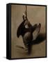 James Brown's Woodcock-James Gillick-Framed Stretched Canvas