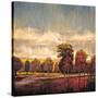 Stretched Canvas