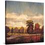 Stretched Canvas