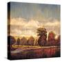 Stretched Canvas