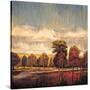Stretched Canvas