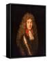 James Butler, 2Nd Duke of Ormonde (1665-1745), Late 17Th to Early 18Th Century (Oil on Canvas)-William Gandy-Framed Stretched Canvas