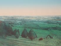 Midsummer Landscape-James Butler-Framed Limited Edition