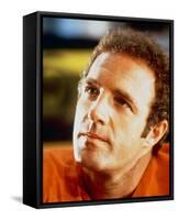 James Caan, Rollerball (1975)-null-Framed Stretched Canvas