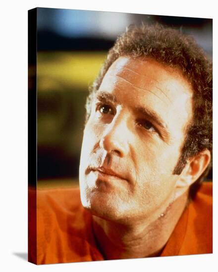 James Caan, Rollerball (1975)-null-Stretched Canvas