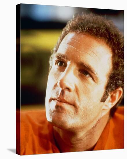 James Caan, Rollerball (1975)-null-Stretched Canvas