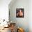 James Caviezel-null-Framed Stretched Canvas displayed on a wall