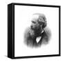 James Clerk Maxwell (1831-187), Scottish Theoretical Physicist, 1882-null-Framed Stretched Canvas