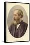 James Clerk Maxwell (1831-1879), Scottish Theoretical Physicist-null-Framed Stretched Canvas