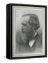 James Clerk Maxwell, Scottish Physicist-Science, Industry and Business Library-Framed Stretched Canvas