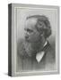 James Clerk Maxwell, Scottish Physicist-Science, Industry and Business Library-Stretched Canvas