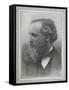 James Clerk Maxwell, Scottish Physicist-Science, Industry and Business Library-Framed Stretched Canvas