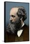 James Clerk Maxwell, Scottish Physicist-Science Source-Framed Stretched Canvas